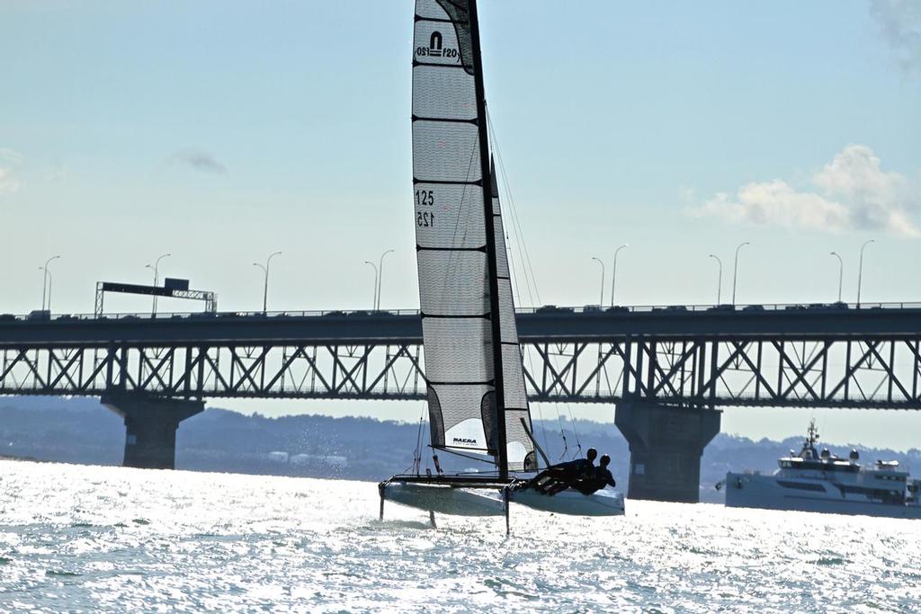 RNZYS Nacra - Dec 6, 2016  © Richard Gladwell www.photosport.co.nz